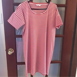 Everlane Striped Cotton T-shirt Dress